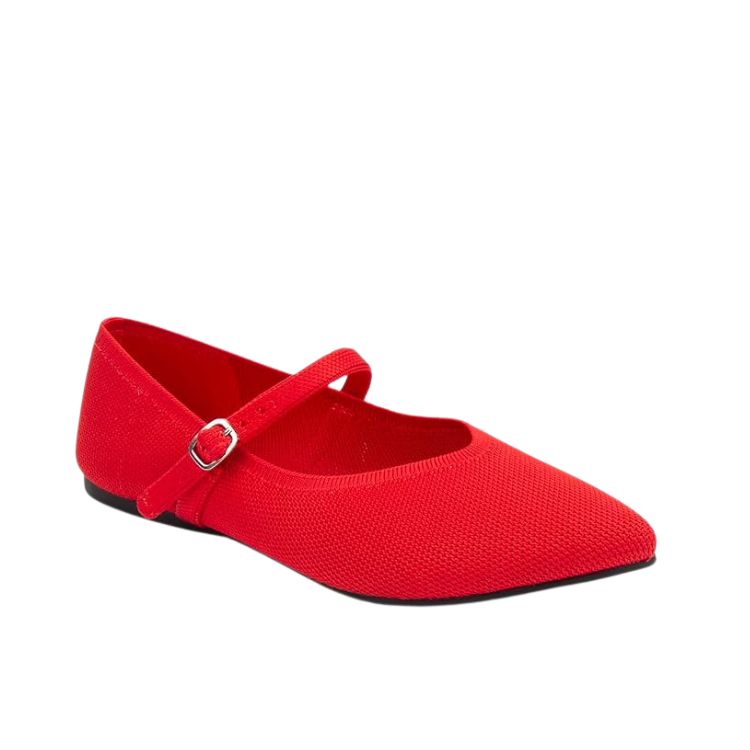Pointed Toe Ballet Flats