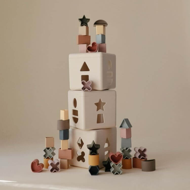 Shape Sorting Box Learning Toy