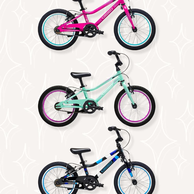 Guardian 16 Inch Bike	