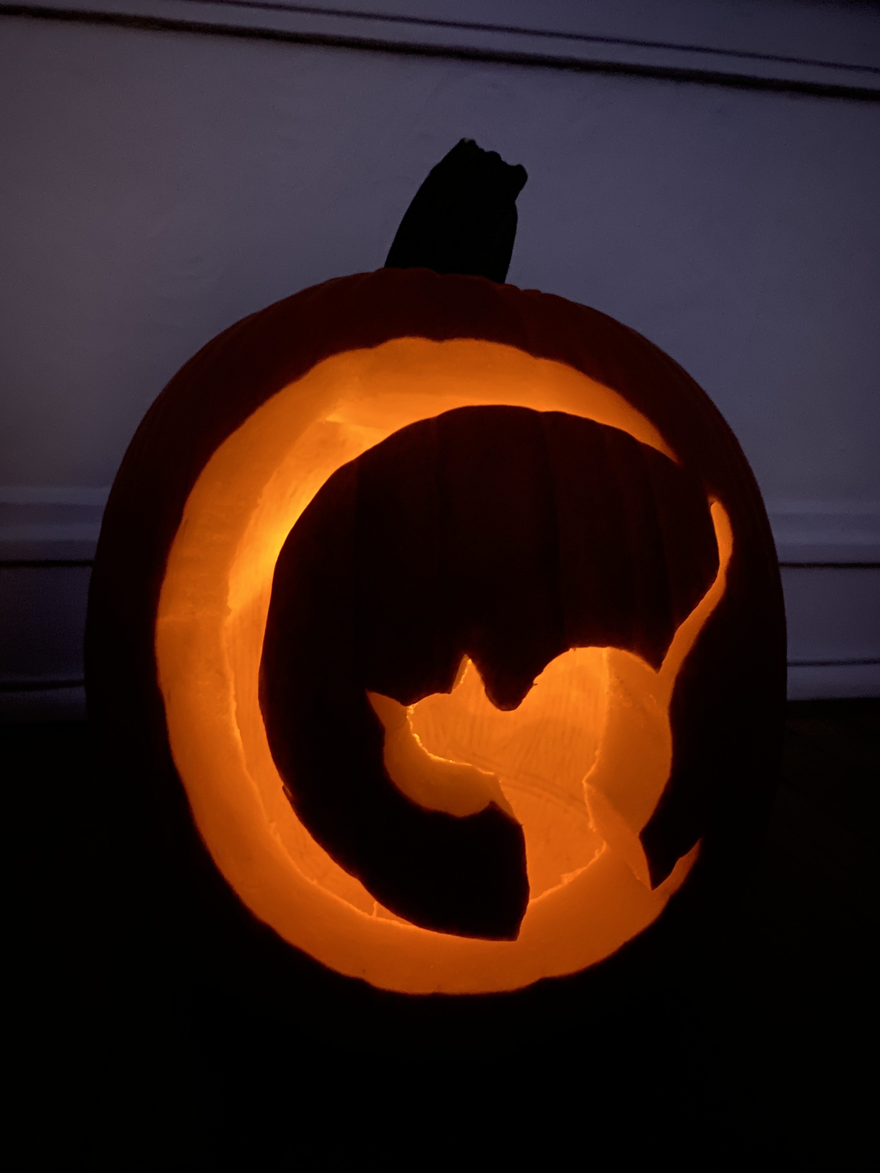 Black cat halloween pumpkin