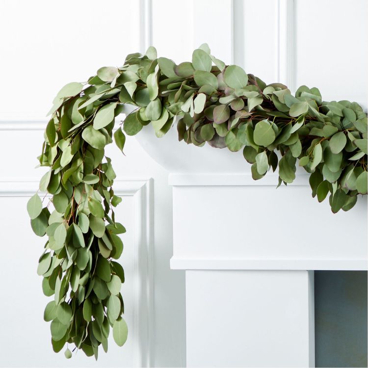 Silver Dollar Eucalyptus Garland
