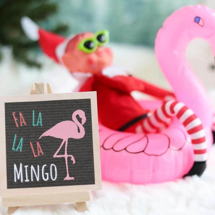 Elf Pool Props