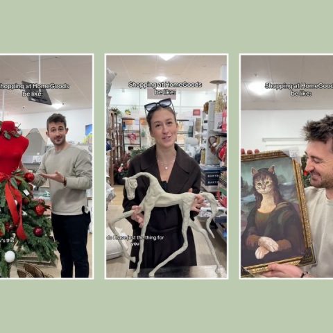 shopping at homegoods be like viral videos