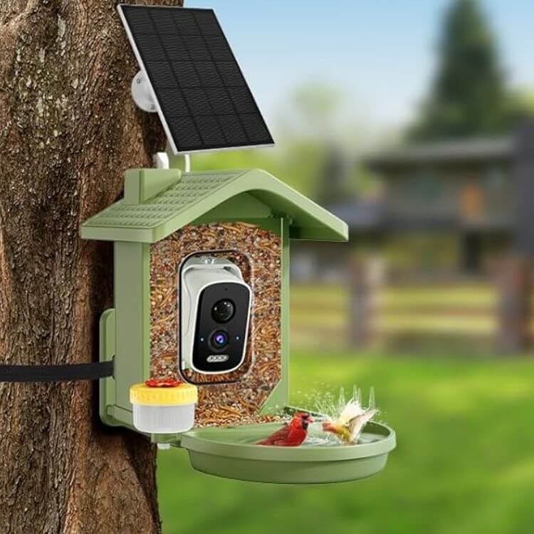 Smart Camera Bird Feeder