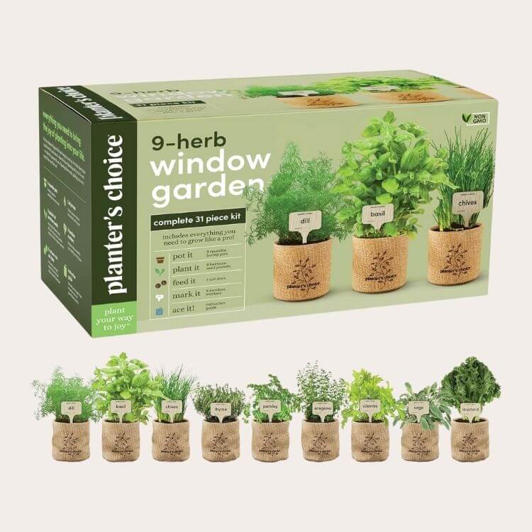 Indoor Herb Garden Kit