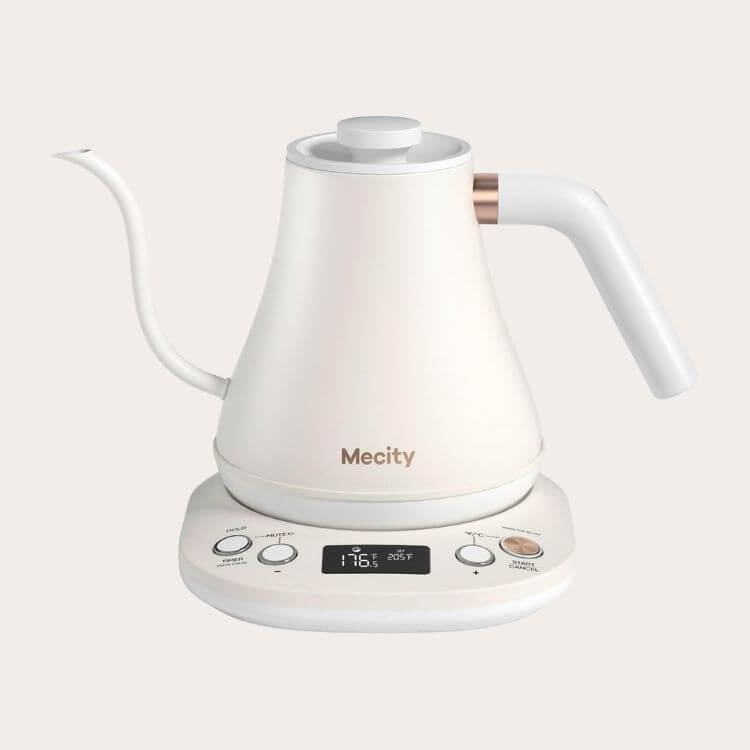 Electric Gooseneck Kettle