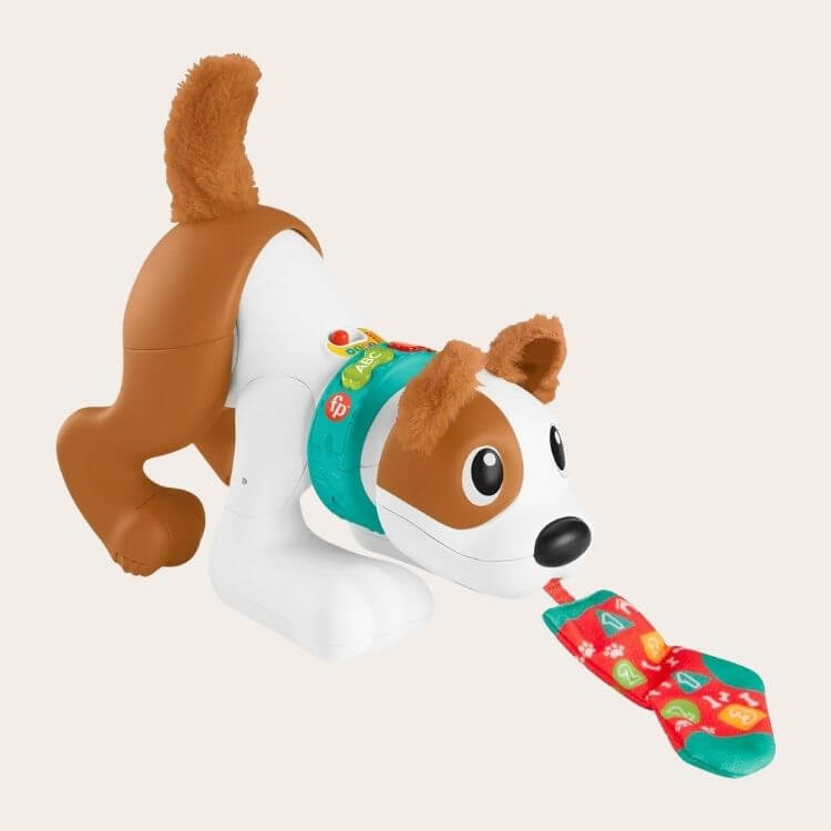 123 Crawl With Me Puppy
