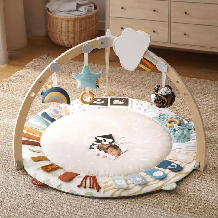 Baby Play Gym & Activity Mat