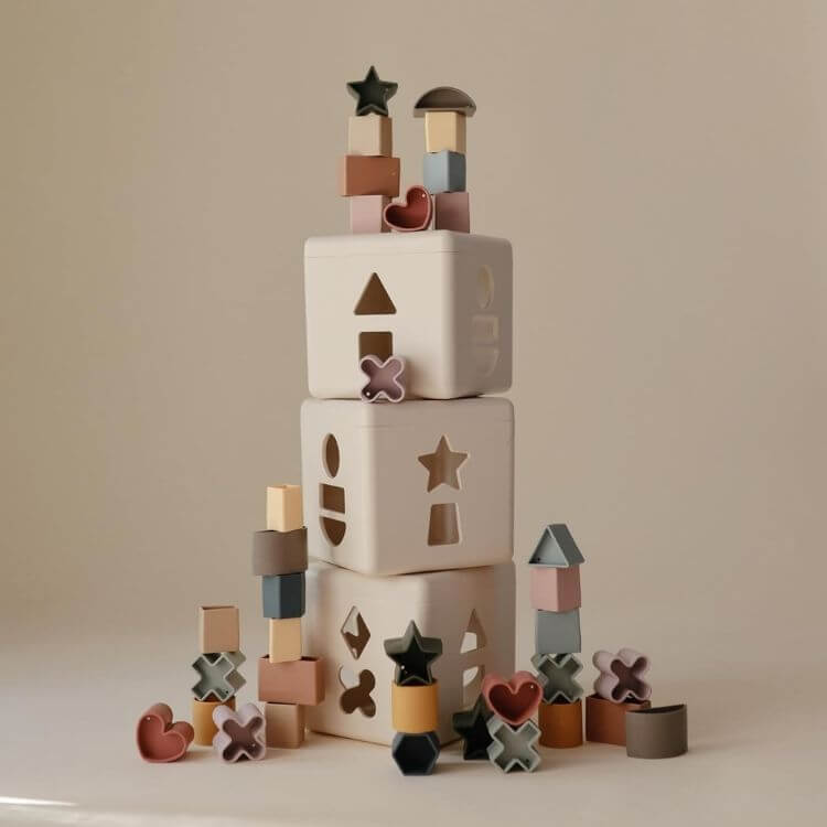 Shape Sorting Box
