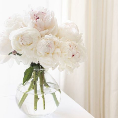 Hysterectomy recovery