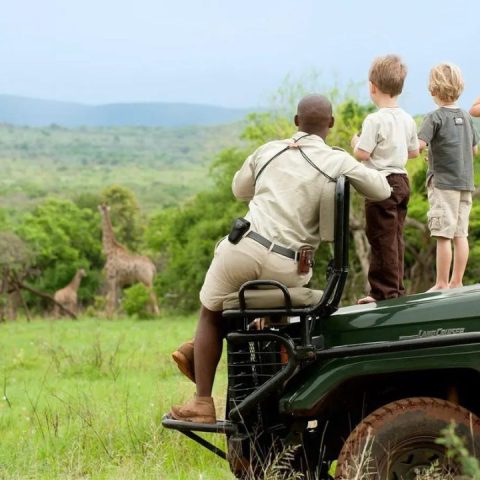 african safari with kids