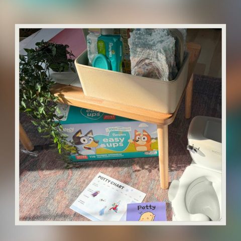pampers potty training