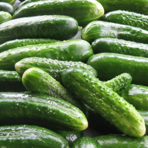 cucumber recall 2025