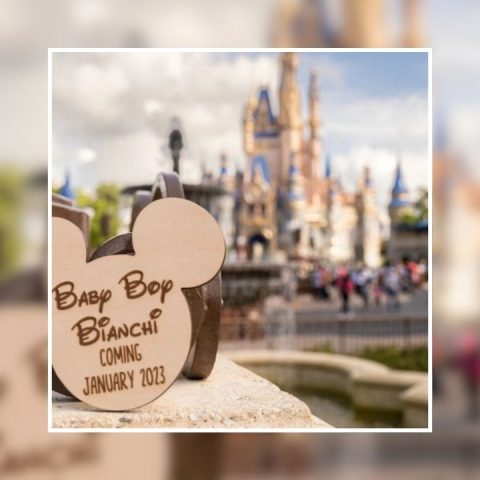 disney while pregnant