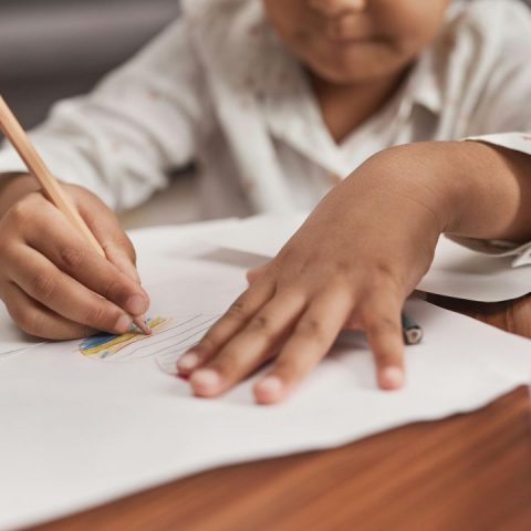 kindergarten curriculum