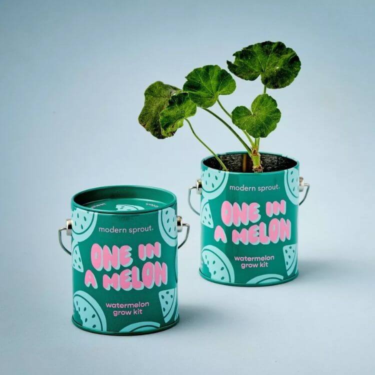 Grow One in a Melon Seed Starter Kit