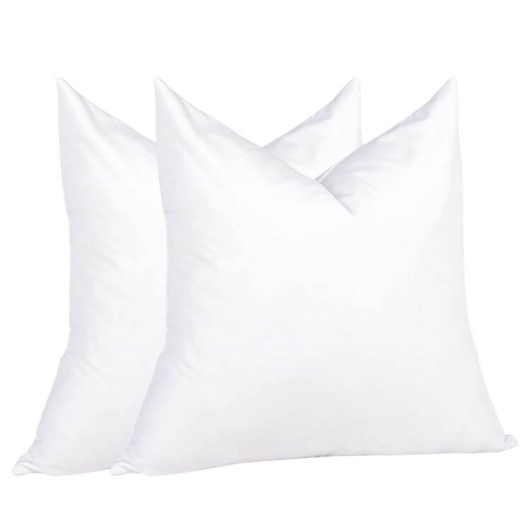 Feather Down Throw Pillow Inserts (Set of 2)