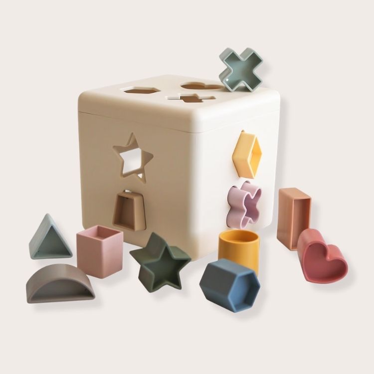 Shape-Sorting Box Toy