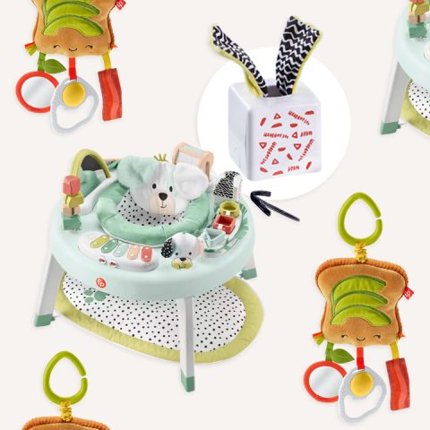 fisher price toy recall