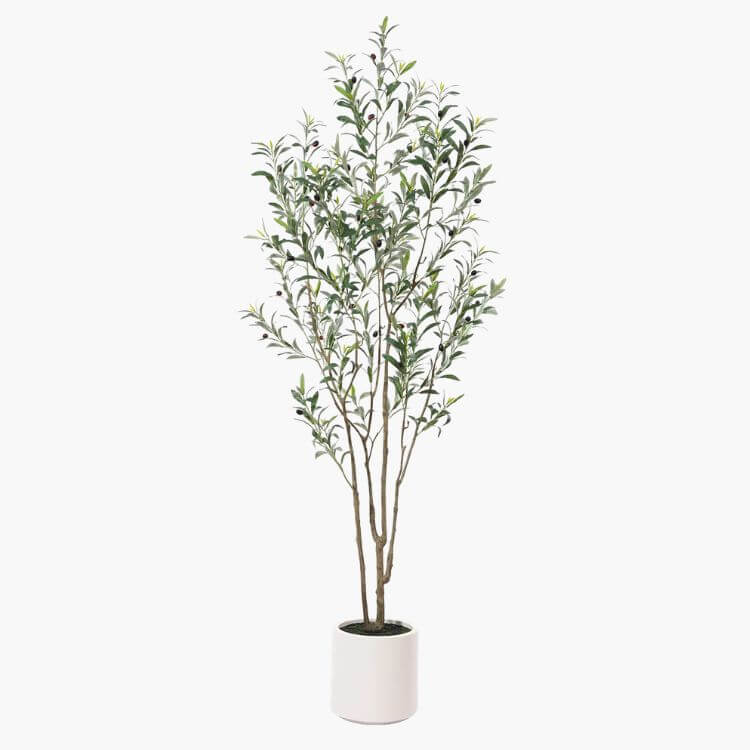 Faux Olive Tree in White Planter