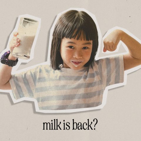 milk is back feature