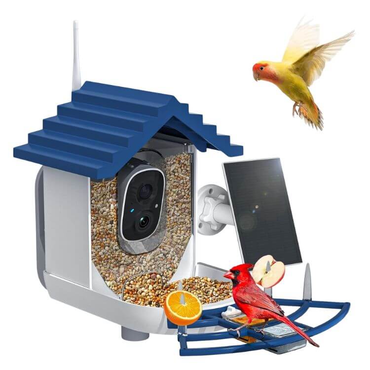 Smart Bird Feeder