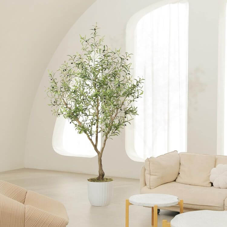 Indoor Tree