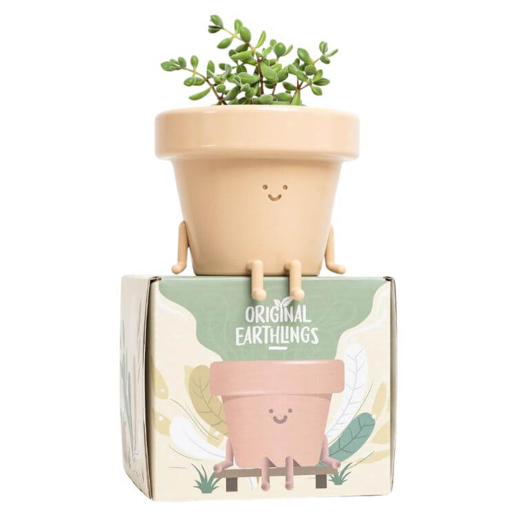 Planter