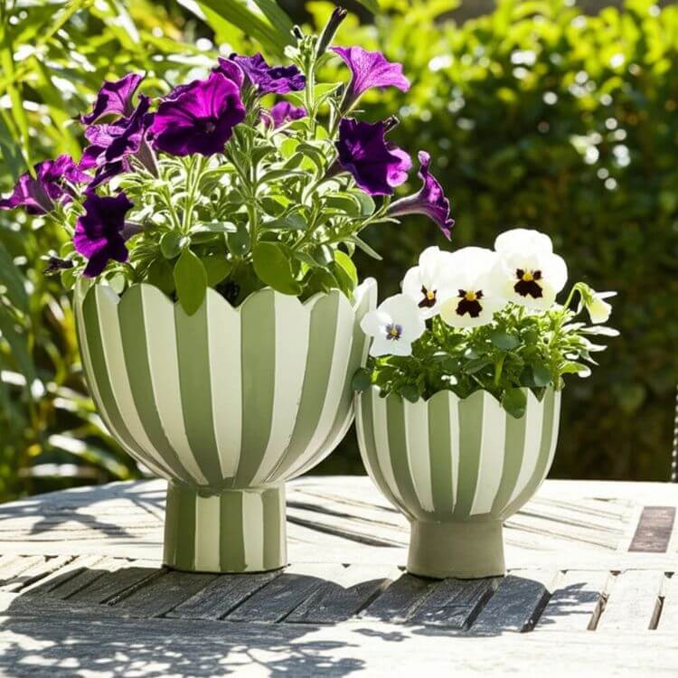 Cement Planters