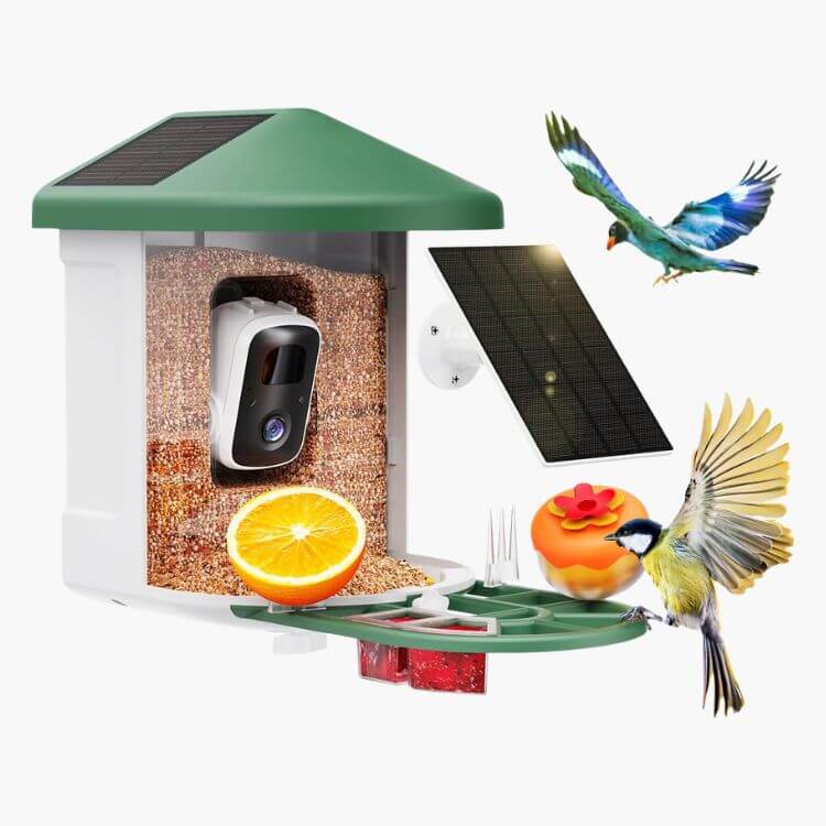 Bird Feeder with Camera