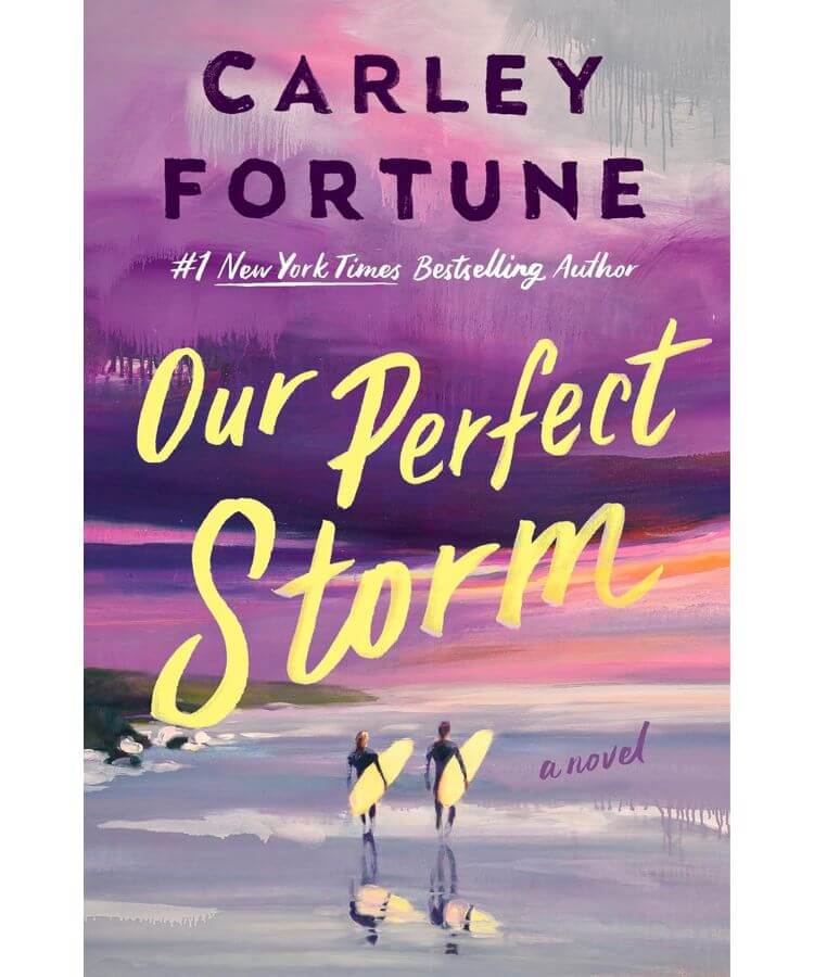 Our Perfect Storm