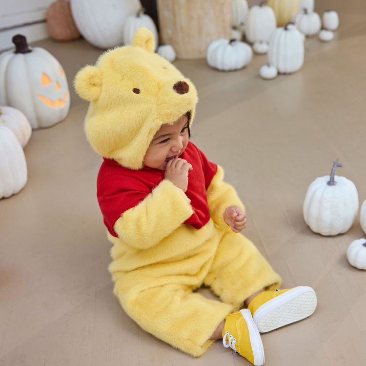 Winnie the Pooh Costume