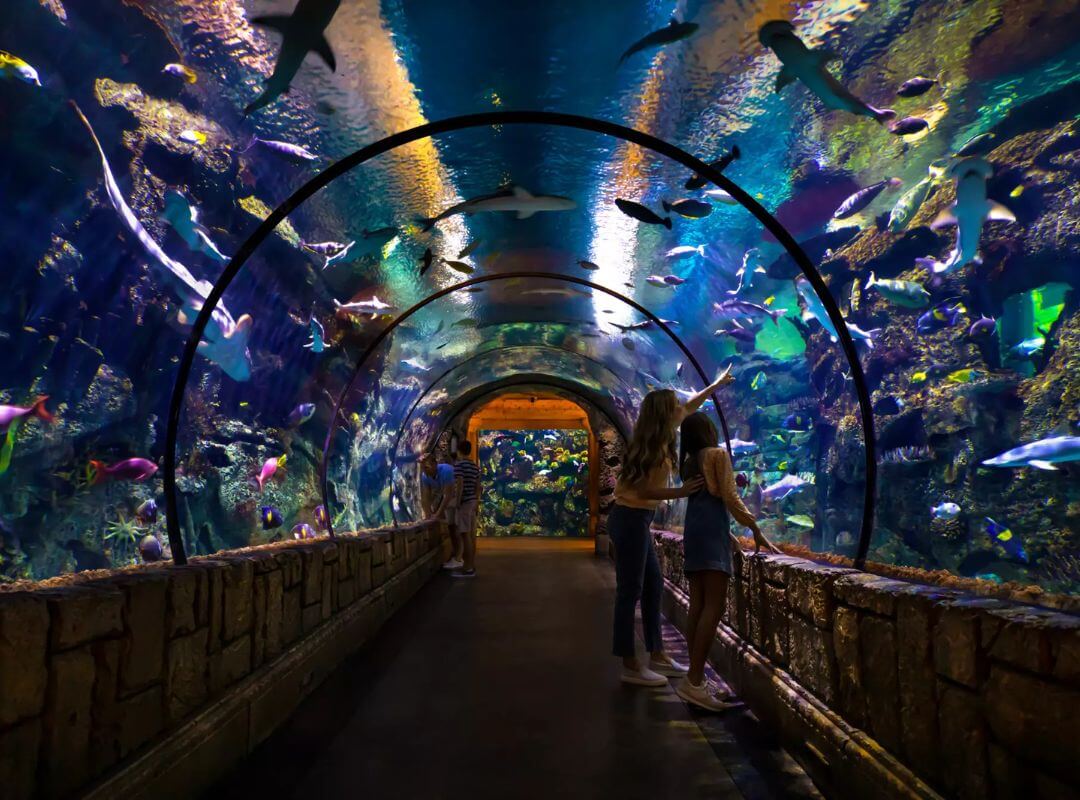 Mandalay Bay Resort and Casino