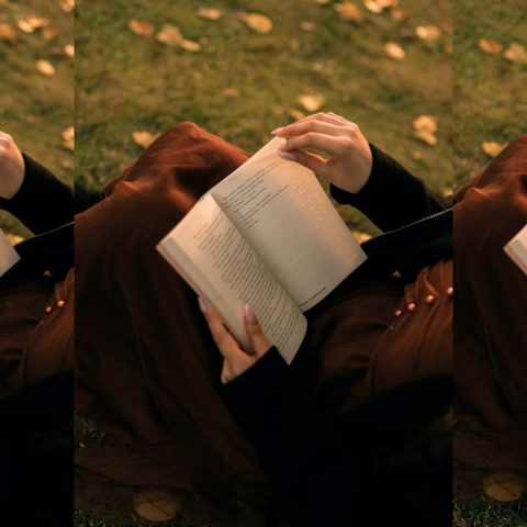 reading a fall book