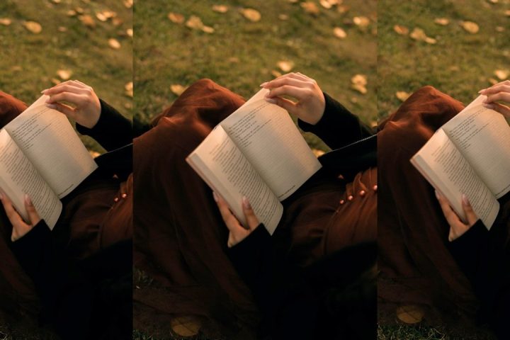 reading a fall book