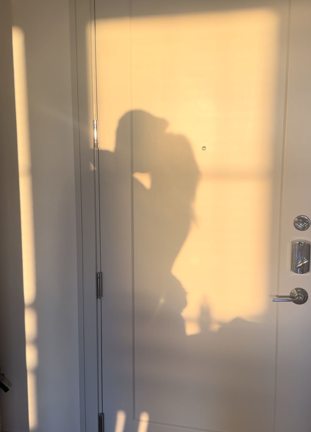 shadow of a couple embracing