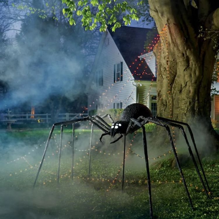 Giant Shrieking Spider
