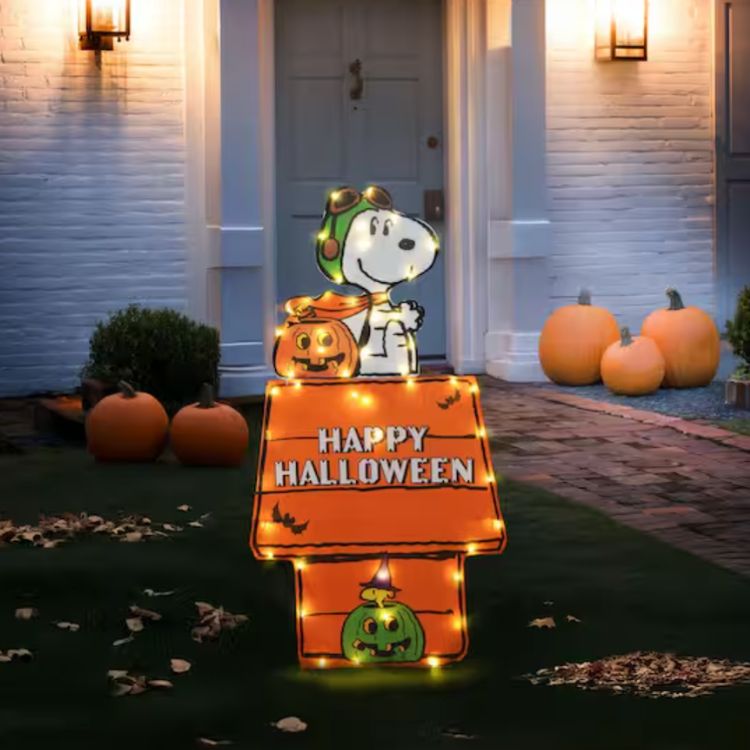 36" Snoopy and Woodstock