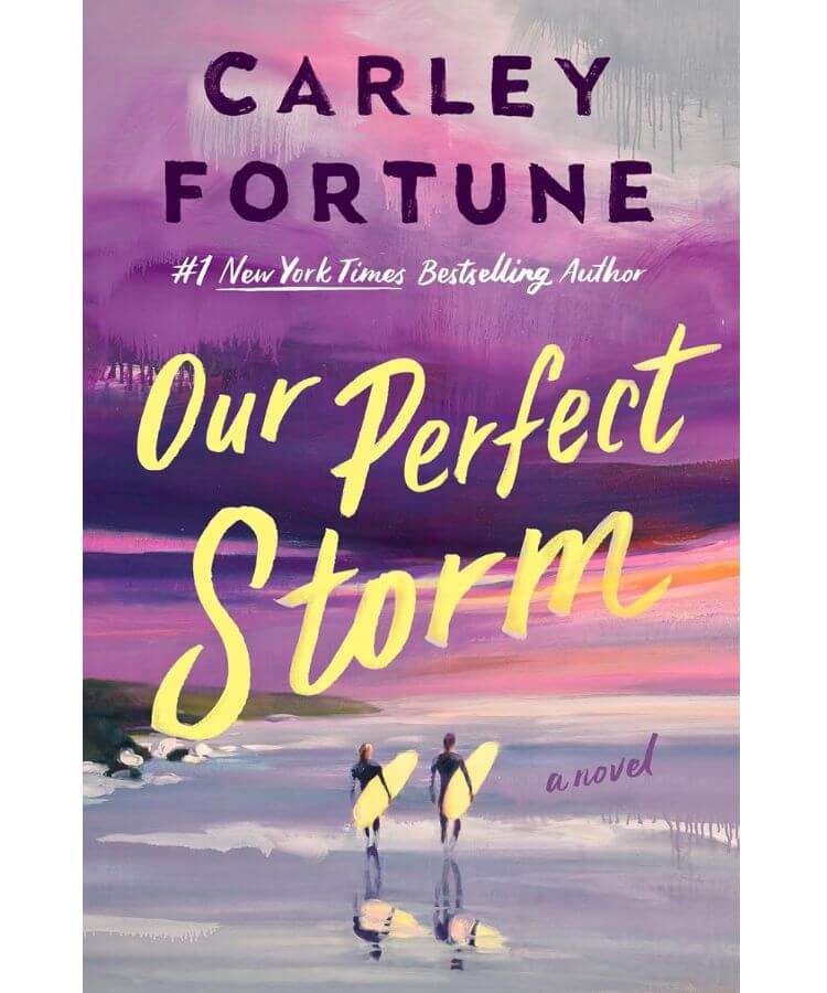 Our Perfect Storm