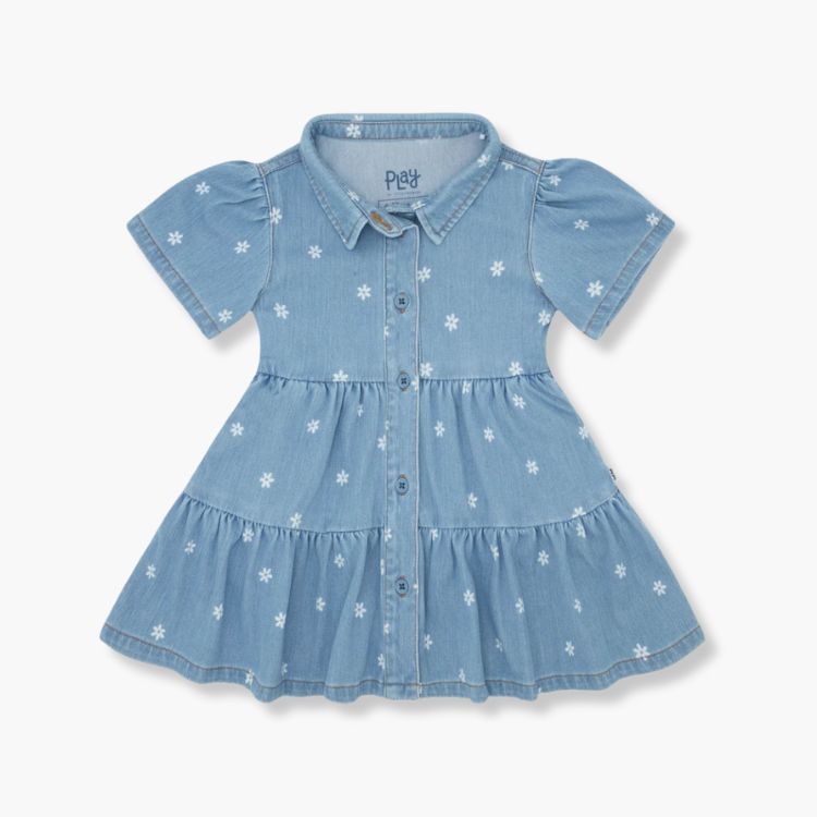 Daisy Denim Button Down Dress