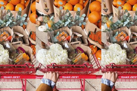trader joe's fall items 2026