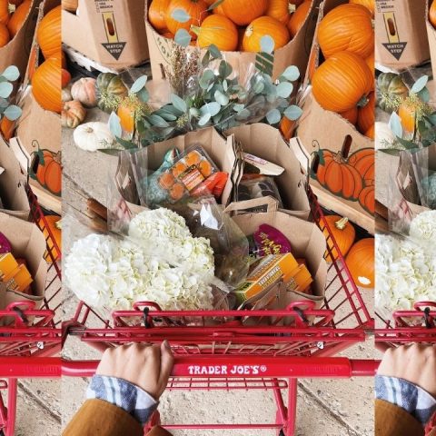 trader joe's fall items 2026
