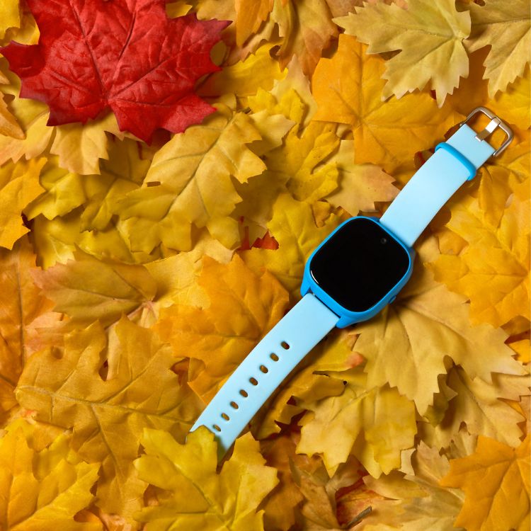 Gizmo Watch 3