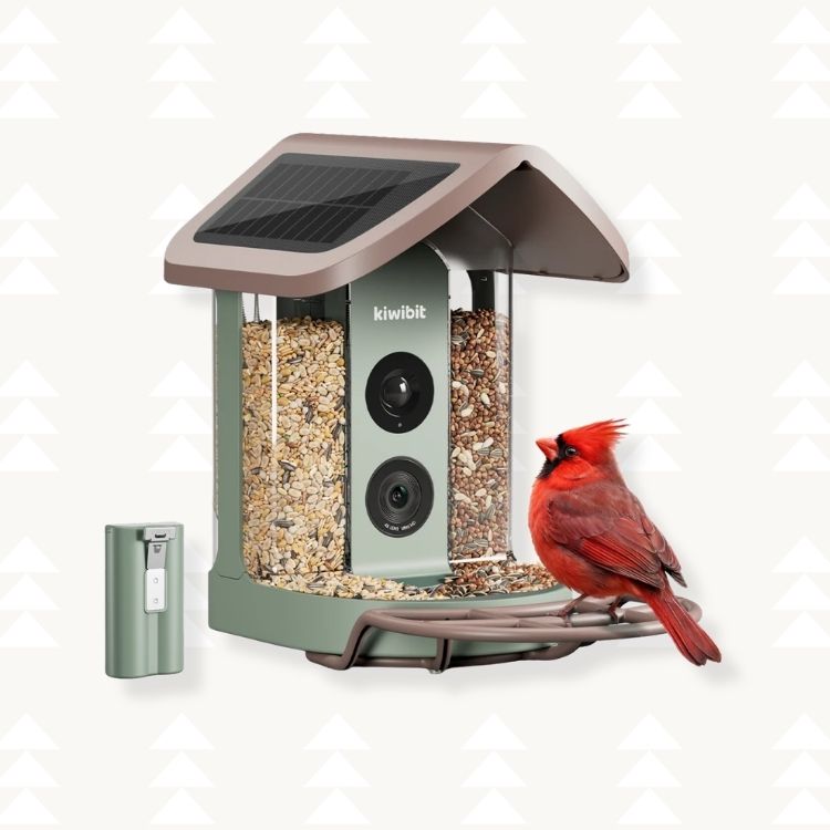Bird Feeder With AI