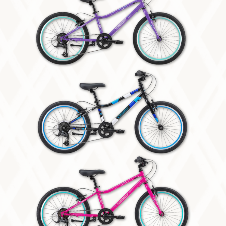 Guardian 20 Inch Bike