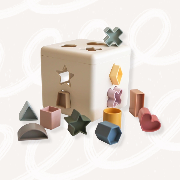 Shape Shorting Box Learning Toy