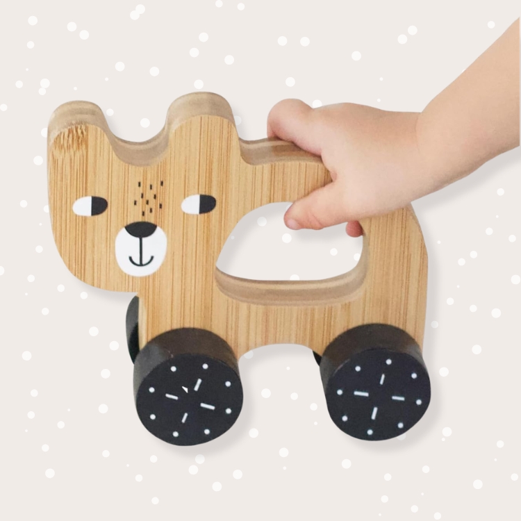 Bear Push Toy