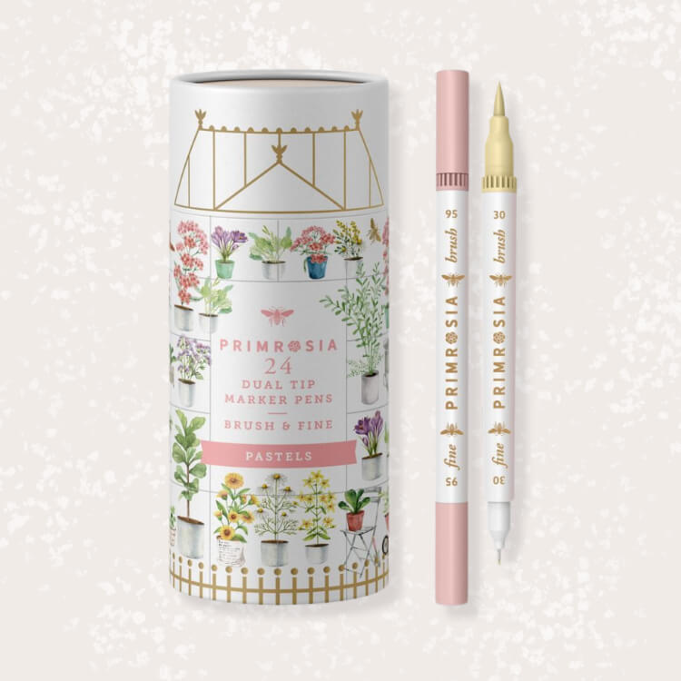 Dual Tip Marker Pens