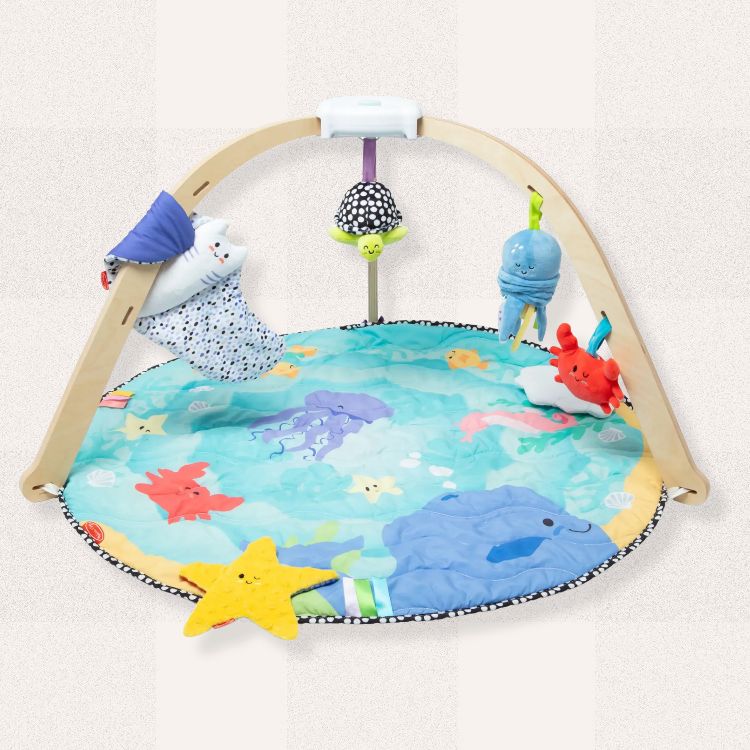 Foldable Play Gym