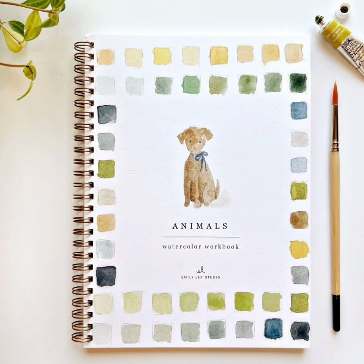 Watercolor Workbook